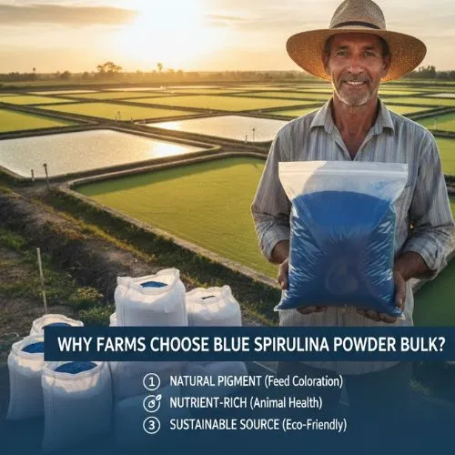 Why farms choose blue spirulina powder bulk.jpg Why farms choose blue spirulina powder bulk.jpg