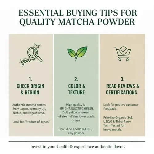 Essential Buying Tips for Quality Matcha Powder Essential Buying Tips for Quality Matcha Powder
