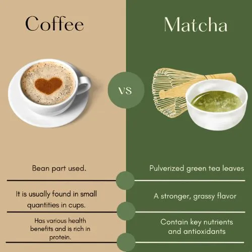 Caffeine Content in Matcha Powder and Sleep Effects.jpg Caffeine Content in Matcha Powder and Sleep Effects.jpg
