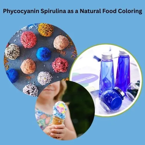 Phycocyanin Spirulina as a Natural Food Coloring.jpg