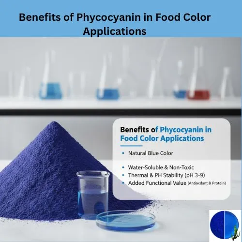 Benefits of Phycocyanin in Food Color Applications.jpg Benefits of Phycocyanin in Food Color Applications.jpg
