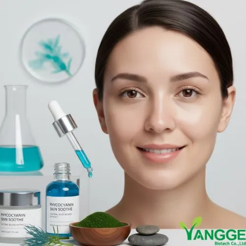 How Phycocyanin Extract Calms Sensitive Skin (1) How Phycocyanin Extract Calms Sensitive Skin (1)