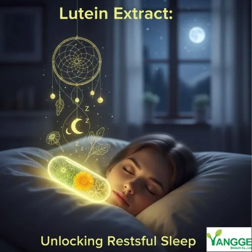 How Lutein Extract Supports Restful Sleep How Lutein Extract Supports Restful Sleep