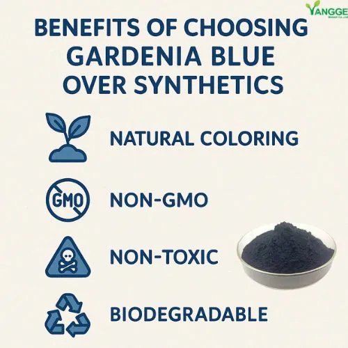 gardenia blue pigment benefits.jpg gardenia blue pigment benefits.jpg