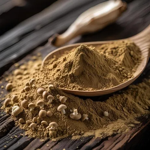 Shiitake Mushroom .jpg Shiitake Mushroom .jpg