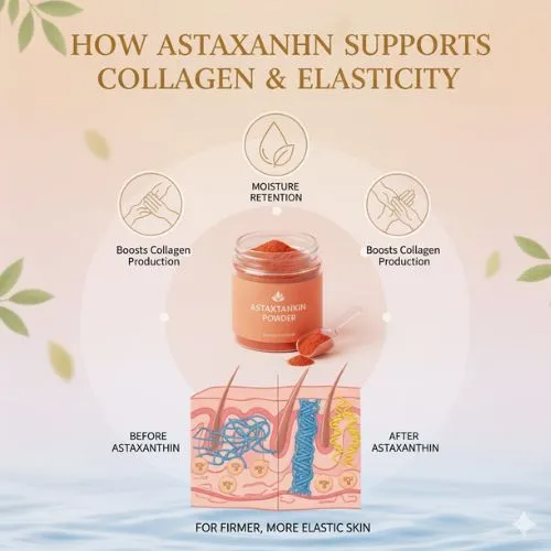 How Astaxanthin Supports Collagen and Elasticity