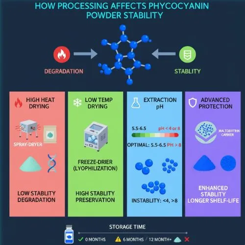 How Processing Affects Phycocyanin Powder Stability