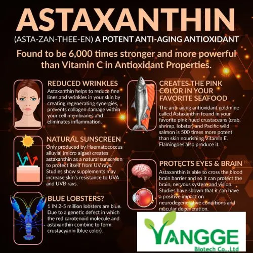 Ideal Astaxanthin Dosage for Anti-Aging Results Ideal Astaxanthin Dosage for Anti-Aging Results