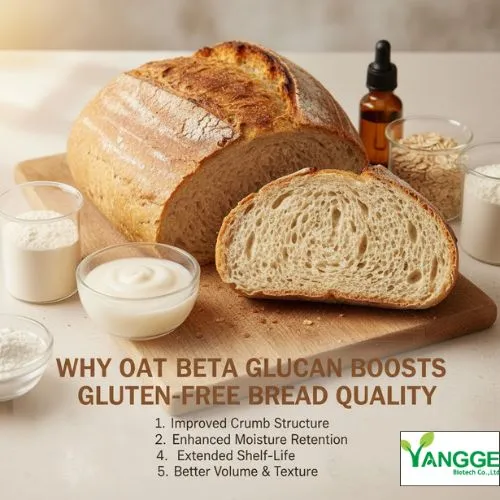 Why Oat Beta Glucan Boosts Gluten-Free Bread Quality Why Oat Beta Glucan Boosts Gluten-Free Bread Quality