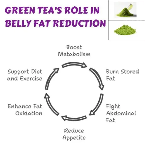 Matcha Powder and Belly Fat Timing Tips