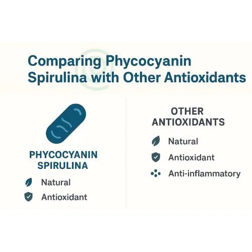 Comparing Phycocyanin Spirulina with Other Antioxidants Comparing Phycocyanin Spirulina with Other Antioxidants