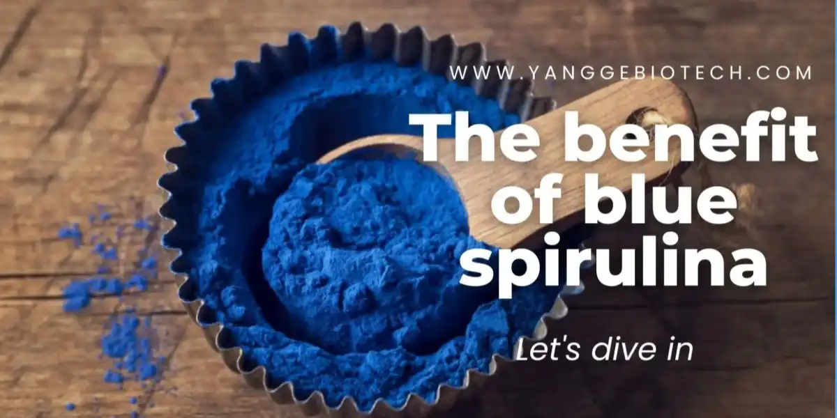 The benefit of blue spirulina