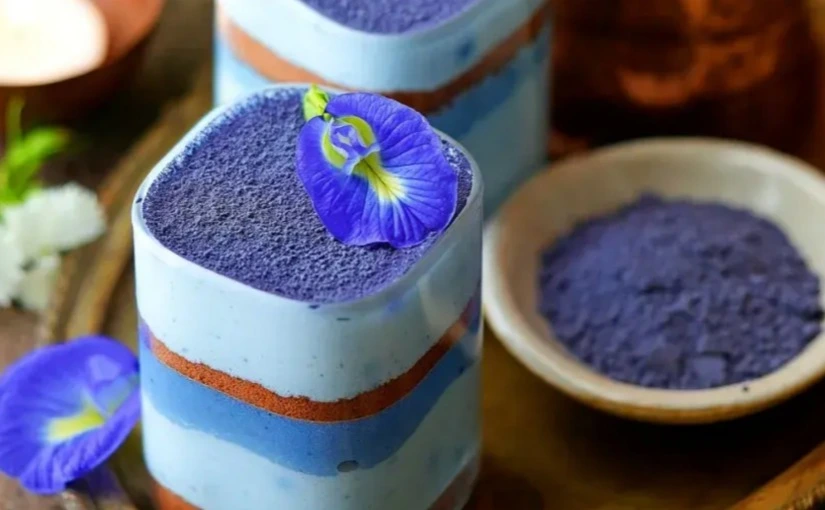 butterfly pea receipes butterfly pea receipes