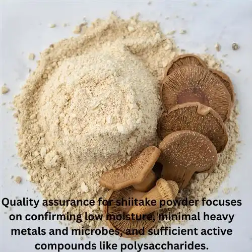 Quality Assurance Testing Standards and Specifications Quality Assurance Testing Standards and Specifications