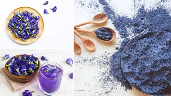 Butterfly pea powder Butterfly pea powder