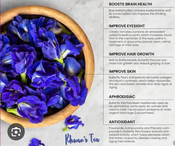 Butterfly pea flower benefit