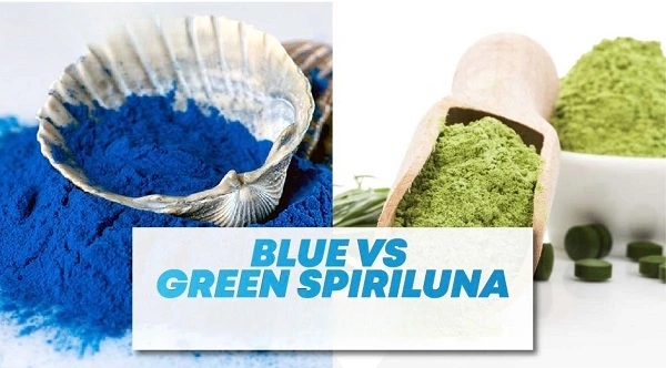 blue spirulina vs green blue spirulina vs green