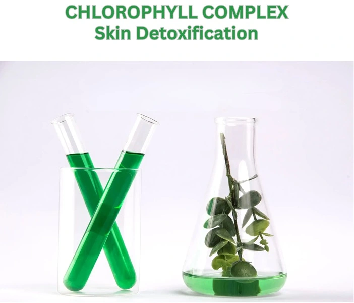 chlorophyl detoxification