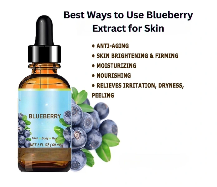 Blueberry Extract for Skin