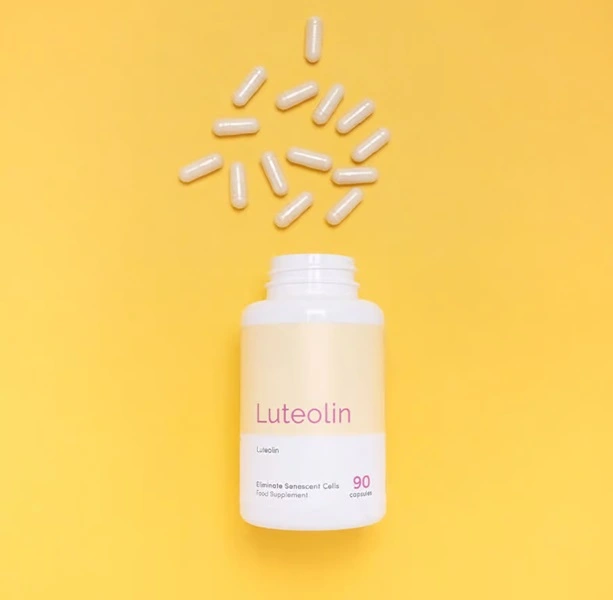 Luteolin Daily used