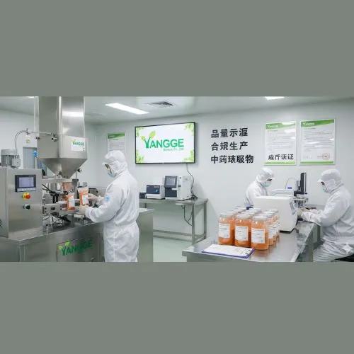 Quality Standards and Regulatory Compliance in Chinese Manufacturing