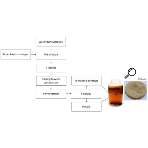 kombucha powder forms kombucha powder forms