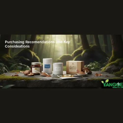 Purchasing Recommendations and Key Considerations Purchasing Recommendations and Key Considerations