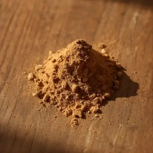 lions mane lions mane