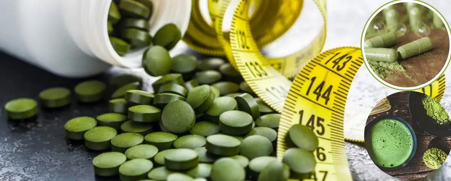 chlorophyl3 chlorophyl3