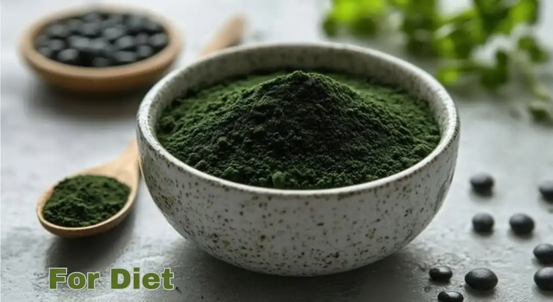 chlorophyl last art chlorophyl last art