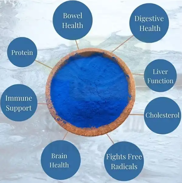 phycocyanin benefits