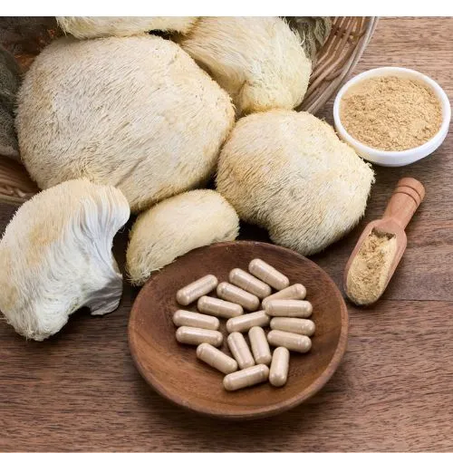 Why Focus on Lion's Mane Mushroom Powder for Nootropic Applications