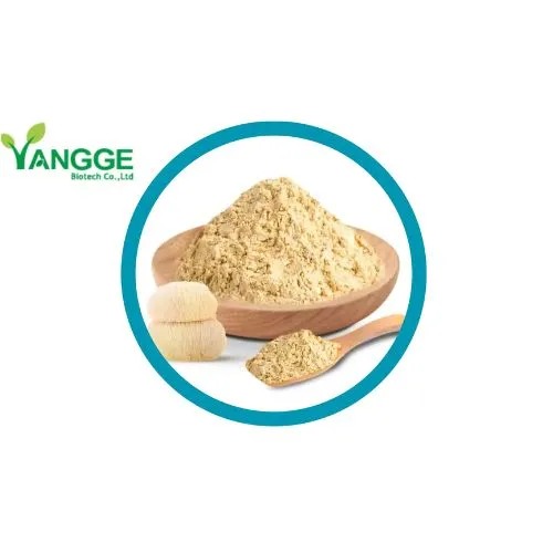 Top Lion's Mane Mushroom Powder Producers in China Yangge Biotech Co., Ltd.