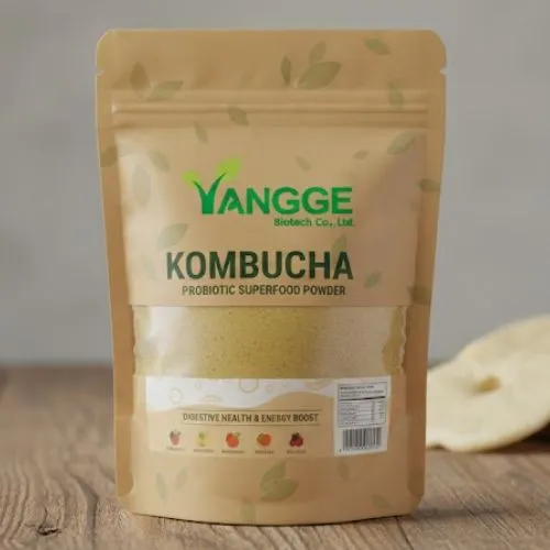 Kombucha Powder pouch Kombucha Powder pouch