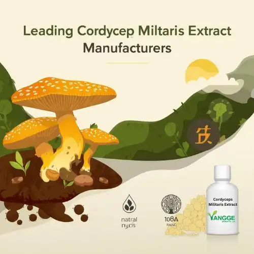 Leading Cordyceps Militaris Extract Manufacturers Leading Cordyceps Militaris Extract Manufacturers