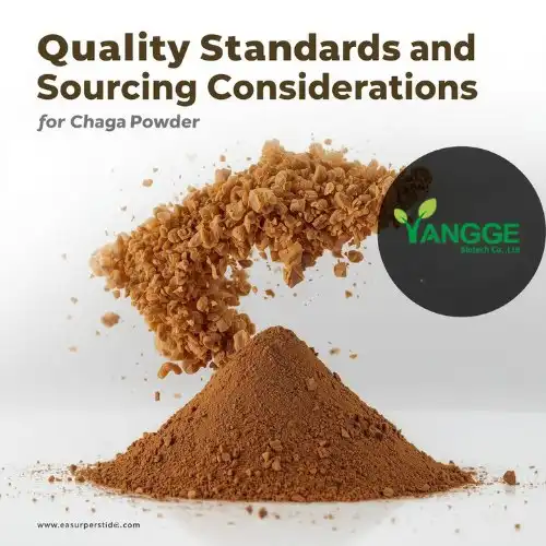 Quality Standards and Sourcing Considerations