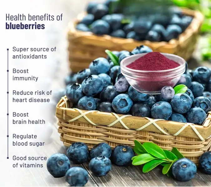 blueberry benefits