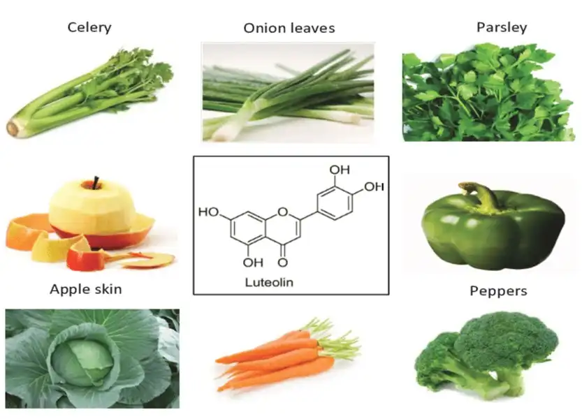 luteolin 4