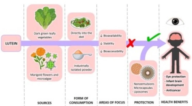 lutein for vision