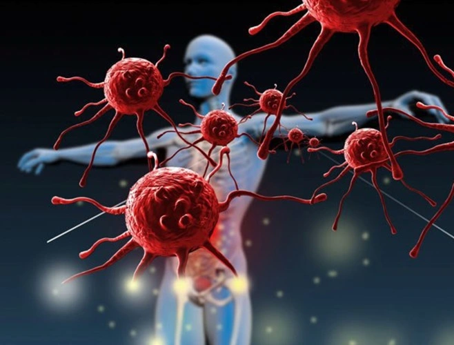 cordyceps immune cordyceps immune