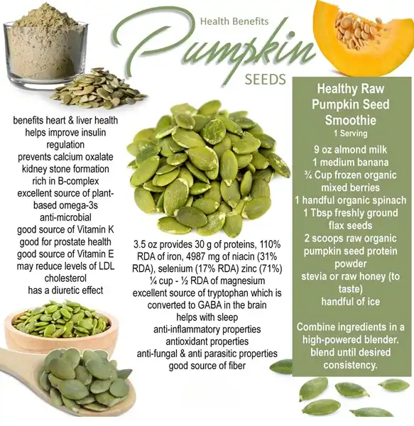 pumpkin seed 2nd