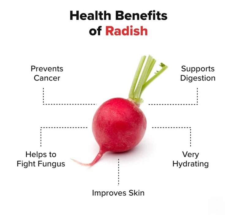 Red Radish Benefits