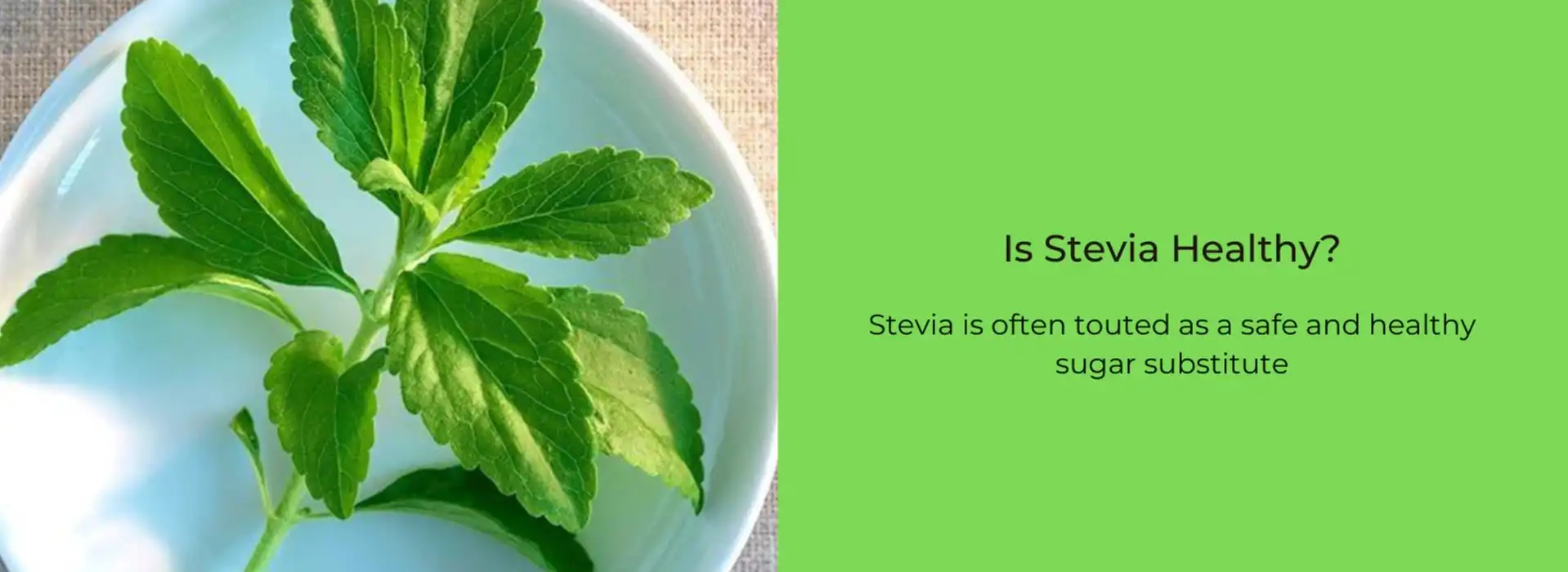 Stevia Healthy