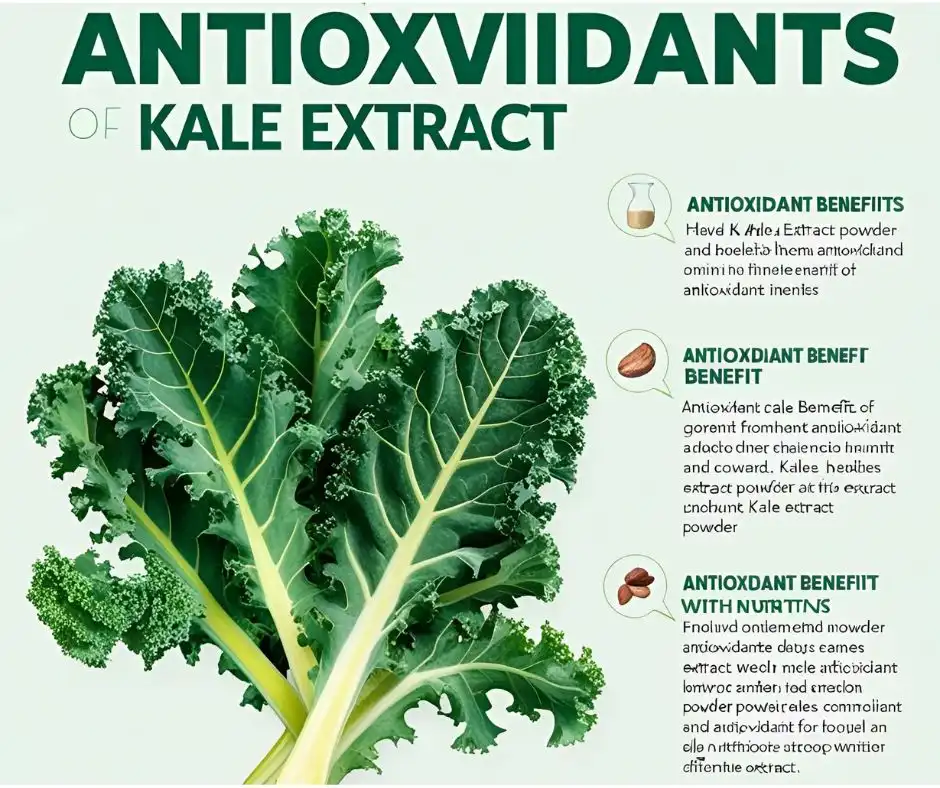 Kale extract 1