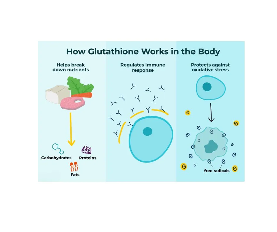 Glutathione powder works in body