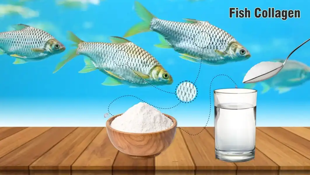 fish collagen