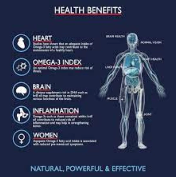 krill protein benefits