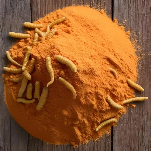 cordyceps militaris powder cordyceps militaris powder