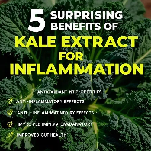 kale extract inflammation kale extract inflammation