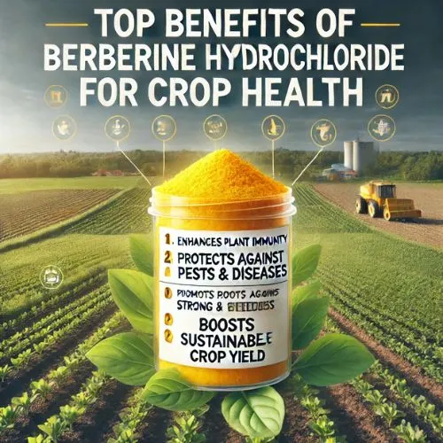 berberine benefits berberine benefits